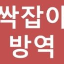 싹잡아방역 이미지
