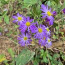 청하 농장 이미지