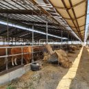 논산목장 이미지