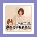 반려견스튜디오 반려견동반촬영 SORAUL소라울 촬영후기