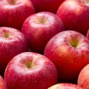 단풍농장 이미지