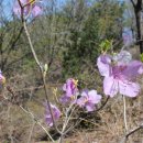 제주의사계 이미지