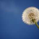 보광한의원 이미지