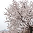 인정로 네이버블로그