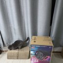 320 | JBL 파티박스 320 구입후기｜이건 블루투스 스피커 끝판왕입니다