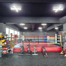 엘복싱 | 충주복싱, 처음 복싱을 시작하기에도 부담 없는 곳 '엘복싱 충주점'