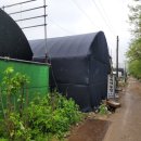 미숙농장 이미지