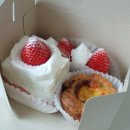 본이로 | 안산 본오동 디저트 카페 코도모, 디저트 맛집 내돈내산 후기