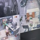 6시내통닭