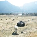 진산목장 이미지