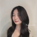 누브아 이미지