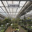 파주 조인폴리아 방문 후기 | 집에서 키울 식물 쇼핑