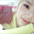 살찐 고양이 카카오 검색결과