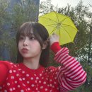 내스타일 이미지