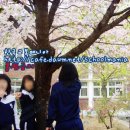 HanKyoMae☆ - 원주 북원여자고등학교 체육복사진 이미지