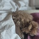 11545-06-01-20 | ☀︎ 2026. 01. 19 ~ 02. 06