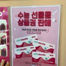 리에또젤라또