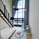 제주애견동반감성숙소 르페도라 이미지