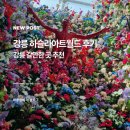 강릉 여행 갈만한곳 하슬라 아트월드 솔직후기｜전시+오션뷰+사진 스팟까지