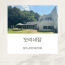 모리네 | 청주 남이면 애견카페 모리네집 내돈내산 후기