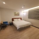 브라운도트사상르네시떼점 이미지