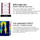 로프짐 이미지