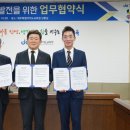 제주임당 이미지