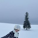 겨울 일본 홋카이도 여행기2