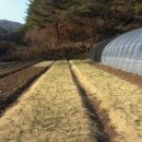 고랑정미소 이미지