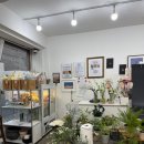 꽃과커피 | [의정부 카페] 꽃과 커피가 함께 있는 공간｜브라운베이지 스튜디오 플라워카페 후기