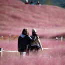 덕동 체육공원 이미지