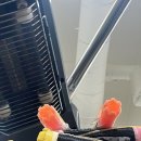 선유당구장 이미지