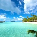 타히티 카카오 검색결과