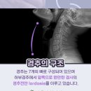 바른숲한의원 이미지