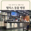 레오동물병원 | 서초 강아지눈질환 헬릭스동물병원 검사 후기