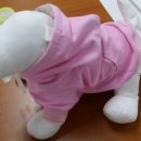 애완동물 소품(옷)만들기 이미지