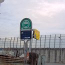 조야초등 이미지