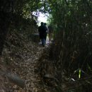 너릿재길2 이미지