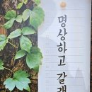 살맛나는온누리약국 이미지