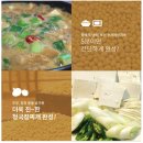 시집가는 농산 시집가는 마 청국장 350g 5개 10개, 350g, 3개