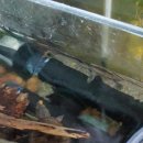 Natural Box 이미지