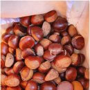 두루두루(도토리마을) 이미지