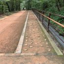 수리산산림욕장 이미지