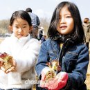 성남장안초등학교 이미지