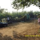 거리농장 이미지