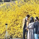 금호강변 이미지