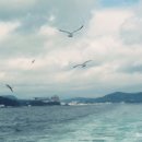 (주)선산터미널 이미지