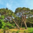 본리2리 마을회관 이미지