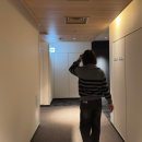 오우동 | [오사카 3박4일] 자유여행 2일차 / 히가시혼간지/카모강 카페/오우동 하지메/오꼬노미야끼