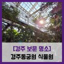 황금이식물원 | [경주 보문 명소] 경주동궁원 - #동궁원 식물원 곤충 전시관 리뷰